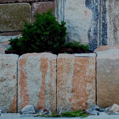 Záhradné okrasné palisády